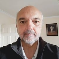 Will Voitus van Hamme profile