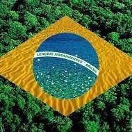 Neto de Salvador profile