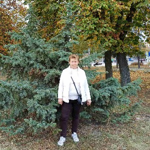 alla 🇺🇦 profile