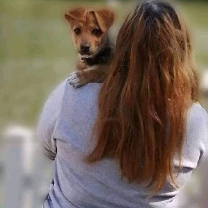 szczęścienaczterechłapach profile