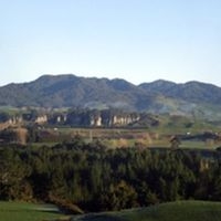 Te Hiiri