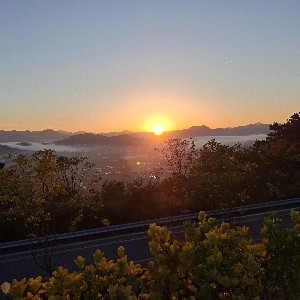 용주
