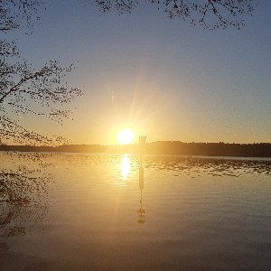 ronnykruger69 profile