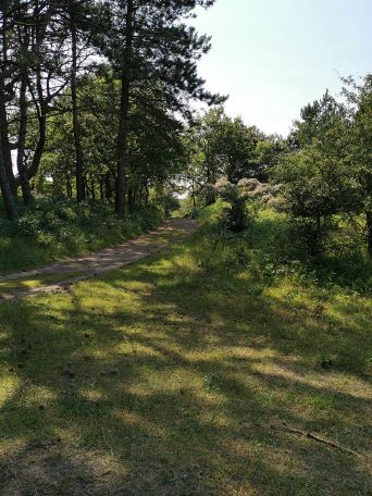 Dog Lovers ☕Tamara☕ post image