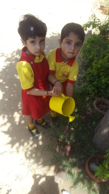 🦜🌷ACE FITNESS 🌷🦜 logo