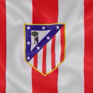 Amigos de Gastón  logo