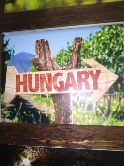 Hungary logo