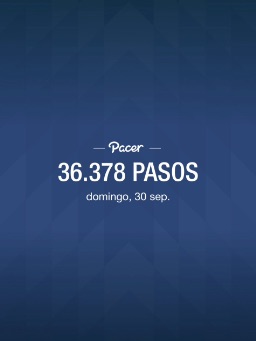 Pacer Bolivia  Pinkas post image