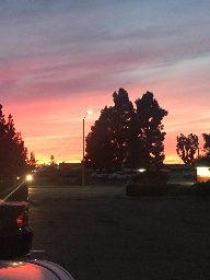 Summer Time Fun logo