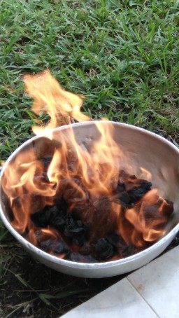 Walk with Pacer. logo