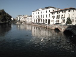 Camminando per Treviso e Provinc logo