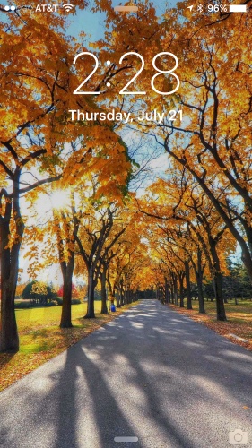 Friends of BIGIKE logo