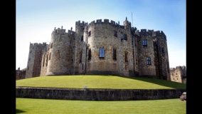 LET'S WALK SLOWLY logo