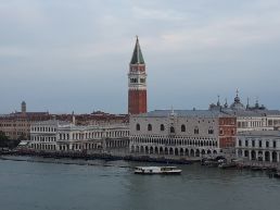 Sonia🦉🐶 post 2