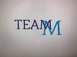 TEAM  M MIE post image