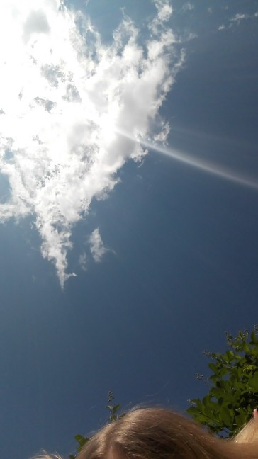 ✨️💖TODAY'S WALKS💖✨️ logo