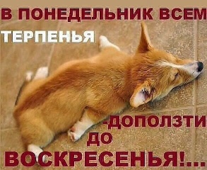 Ходунки (Москва) logo