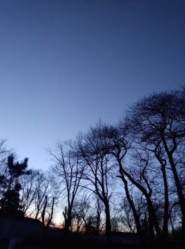 Walking For My Health logo