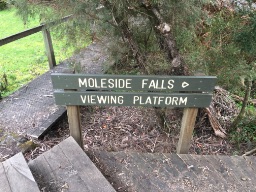 🦘Mono1946 🇦🇺 post 2