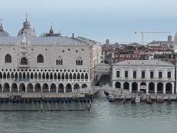 Sonia🦉🐶 post 1