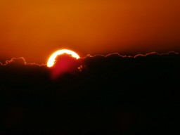 毎日3000歩以上歩く logo