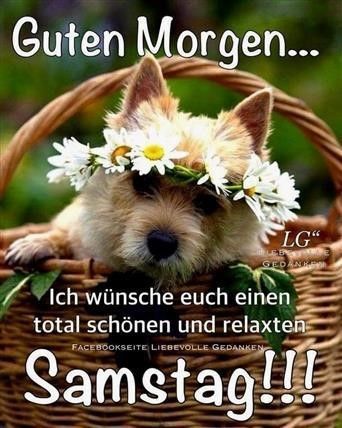 🌠NATURE BEAUTY🌠 Karin Engel post image