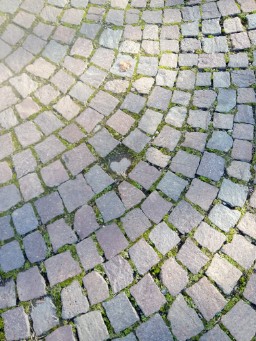 Da oggi si cambia logo