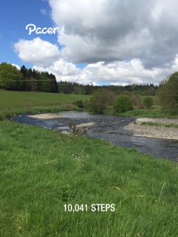 Step On Up and start counting logo