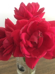 Ligapo’s friends logo