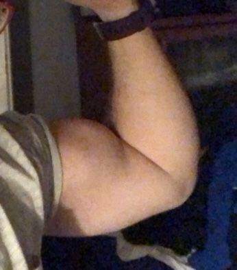 Amigos de Morningstar logo