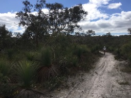 🦘Mono1946 🇦🇺 post 3