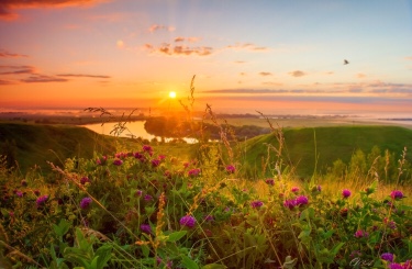 Дзержинск в тренде 🏆🏆🏆😁😁😁 logo