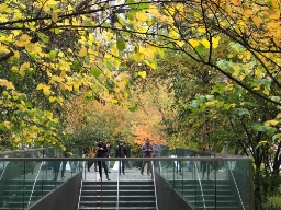 Pacers for health 🇮🇳  logo