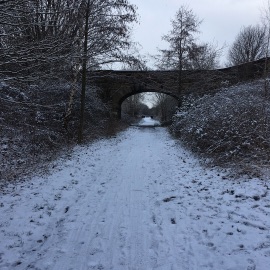 PacerGal_1976 post 3