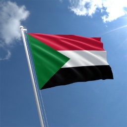 Sudanese Walkers logo