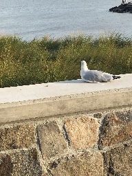 Step Away From the Chair! logo