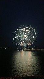 やせた～い🐷 logo