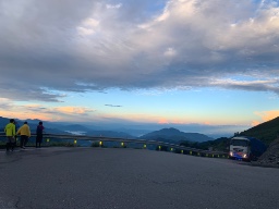 小樹🌲的家人 logo