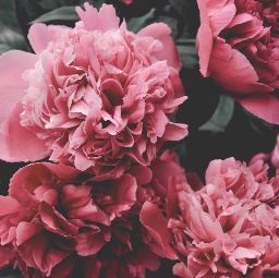 йоу, самый сильные:з logo